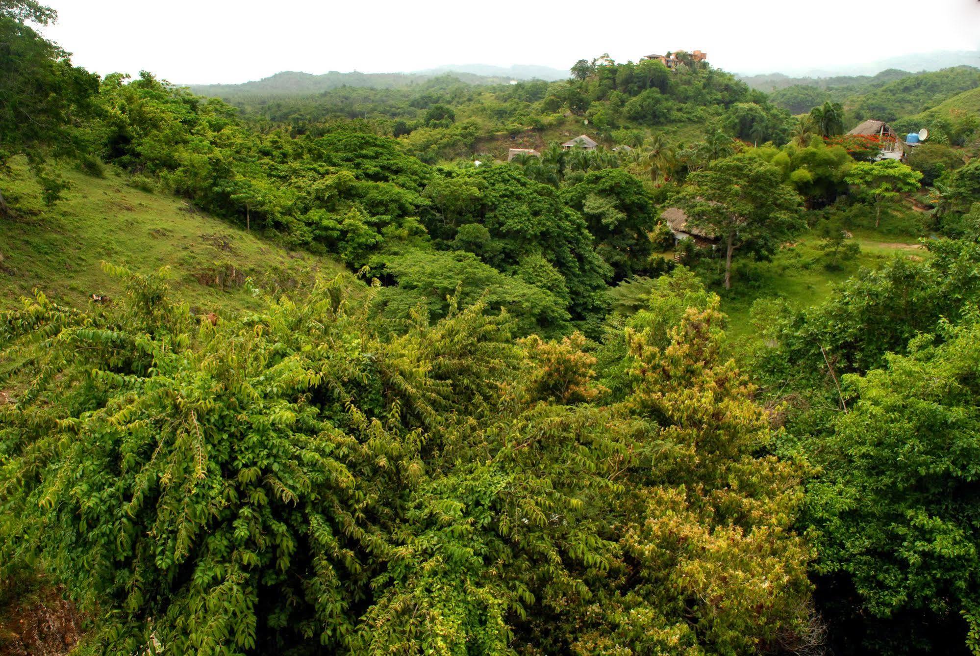 Clave Verde Ecolodge Las Terrenas Exterior photo